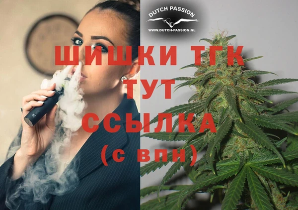 индика Волосово