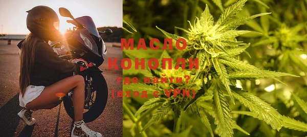 индика Волосово