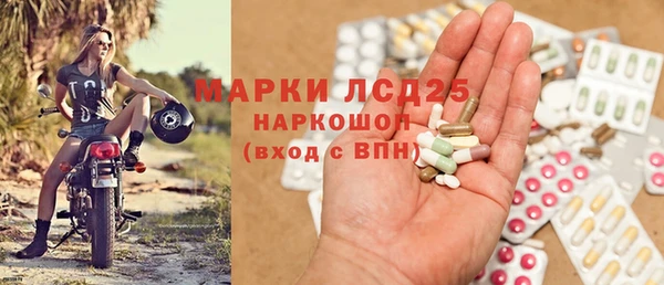 индика Волосово