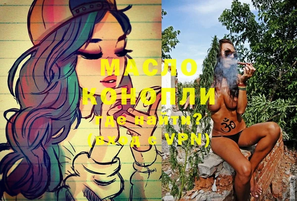 индика Волосово