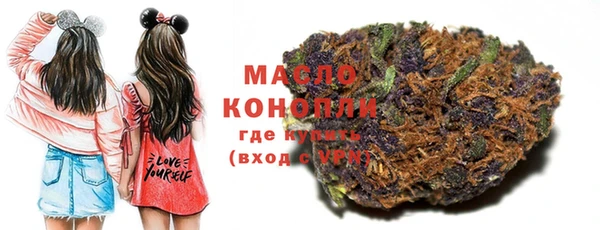 индика Волосово