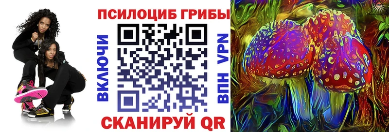 Купить  Аткарск  Псилоцибиновые грибы Psilocybe 